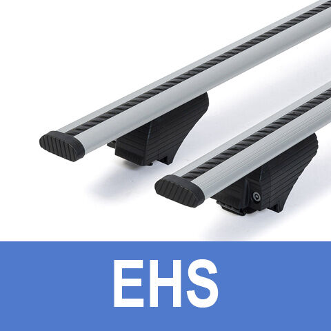 EHS