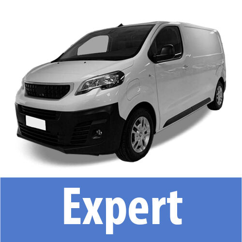 Expert