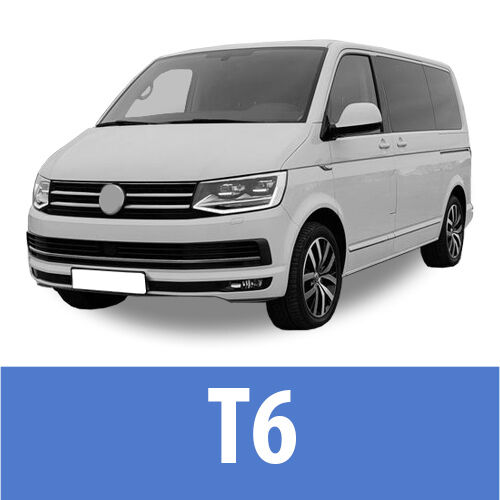 T6