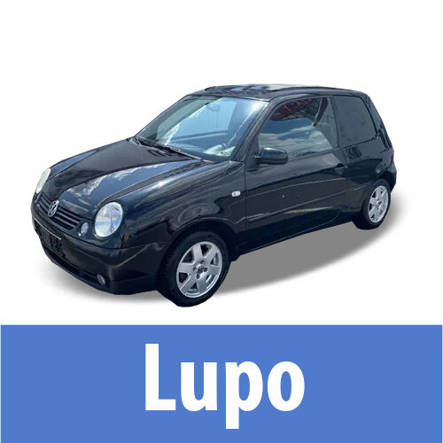 Lupo