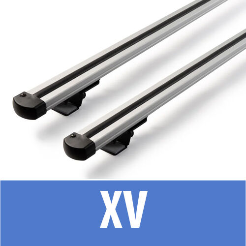 XV