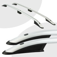 Dachreling passend für Ford Tourneo Custom L1 Baujahr ab 2023 Grau